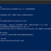 PowerShell output/result of the command